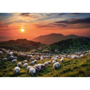 Puzzle 1000 pzs. Humboldt Ed. Sheep and Volcanoes - Image 3